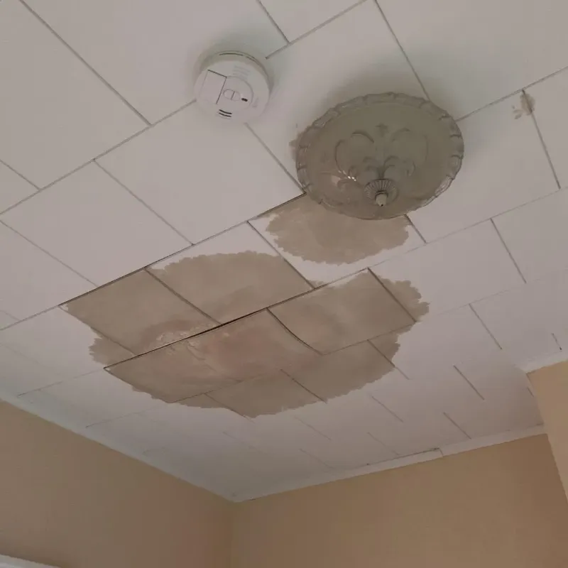 Ceiling Water Damage Repair in Waynesville, NC