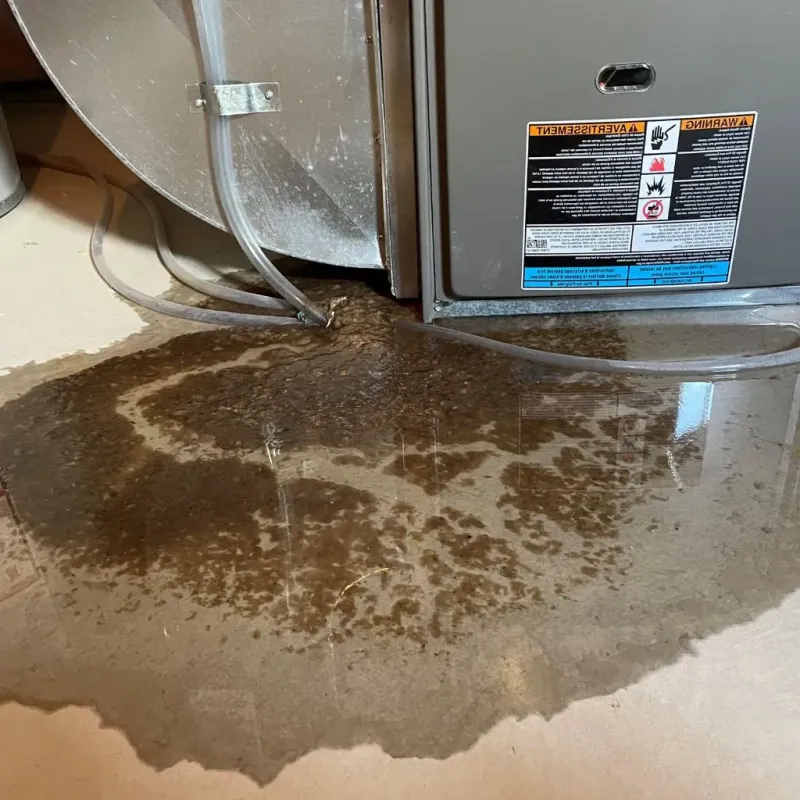 Pipe Burst and Leak Restoration in Waynesville, NC